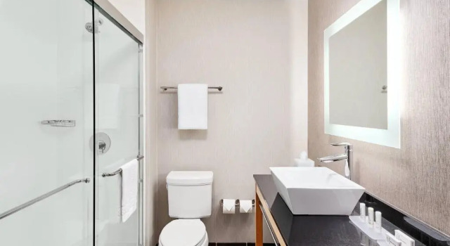 2 soveværelser i suite med bjergudsigt Cambria Suites Roanoke