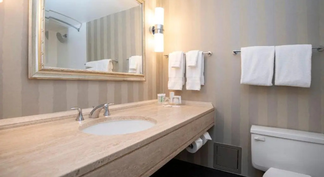 Двухместный номер Deluxe Sandman Signature Edmonton Downtown Hotel