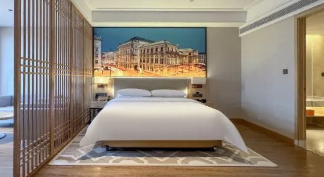 Люкс Business Vienna International Hotel (Shehong Tulip hotel)