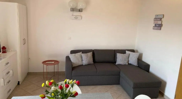 Студия Apartmani Milkovic