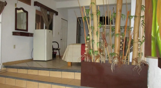 Suite med altan Hotel Albatros