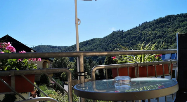 Апартаменты Standard Gästehaus Panorama