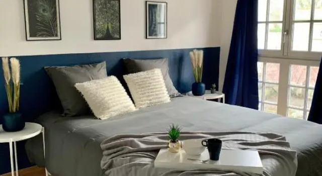 Appartement les Bleuets - Centre ville de Saumur, Rezerwuj Apartament Saumur 