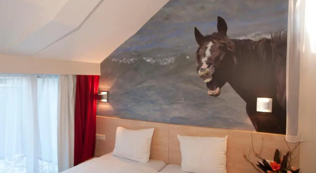 Трёхместный номер Comfort Hotel Iron Horse