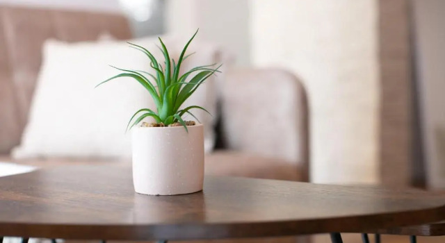 Студия Apartments Dubra