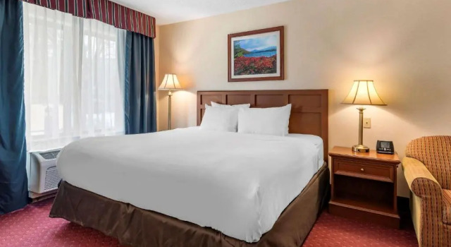 Номер Standard Comfort Inn & Suites Lake George