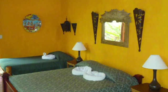 Номер Standard La Palapa Ecolodge