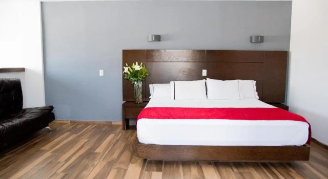 Двухместный номер Standard Hotel Expo Plaza Business and Family Guadalajara