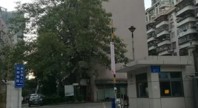 Laiyin Garden City Hostel