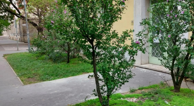 Family Friendly Apartman, Забронировать Апартаменты/квартира Апартаменты Будапешта, Апартаменты/квартира