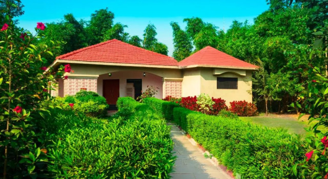 Вилла с 2 комнатами Olive Resort & Villas