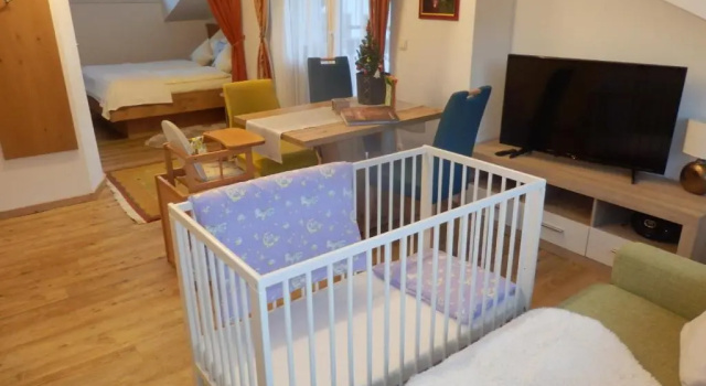 Студия Apartments Saalachtal