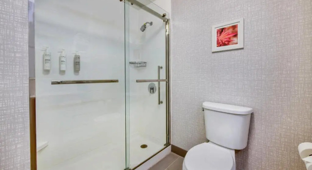 Номер Standard Hampton Inn Cortland