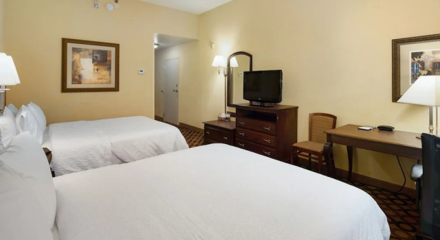 Suite doppia Hampton Inn - Springfield