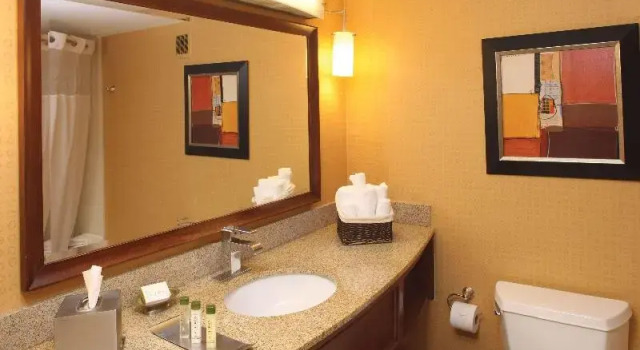 Deluxe værelse DoubleTree by Hilton Murfreesboro