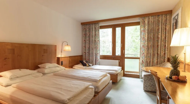 Двухместный номер Comfort с видом на горы Hotel Restaurant Südrast Dreiländereck