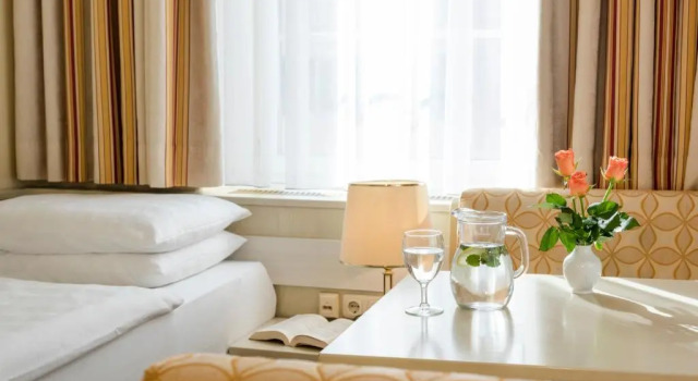 Одноместный номер Standard Hotel Scherer