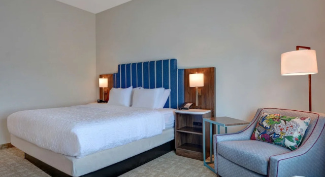 Двухместный номер Mobility access Hampton Inn & Suites Nashville Downtown Capitol View, Tn