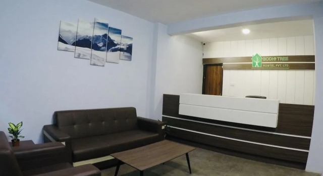Bodhi Tree Hostel