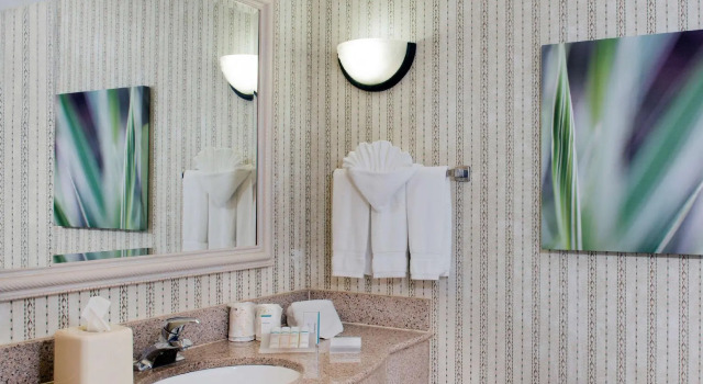 Четырёхместный номер Standard Hilton Garden Inn Rock Hill