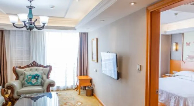 Люкс Deluxe Vienna Hotel (AanhuiSuzhou shizhengfuYunjishangyejiedian)