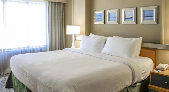 Номер Standard Hilton Vacation Club Daytona Beach Regency