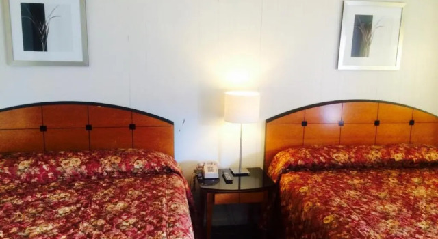 Standard Zimmer Stardust inn