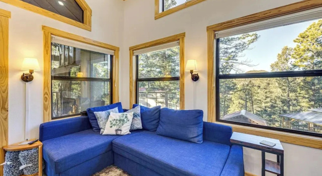 Private Hot Tub & Deck: Woodland Park Tiny Home!