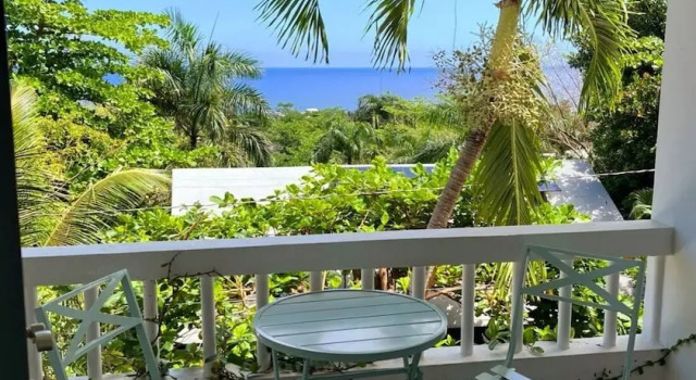 Grand dwuosobowy pokój 1 sypialnia z częściowym widokiem na ocean Serenity Rincon Guesthouse