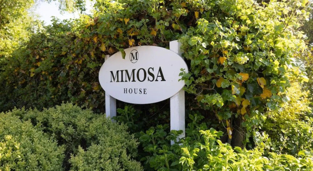 Mimosa House