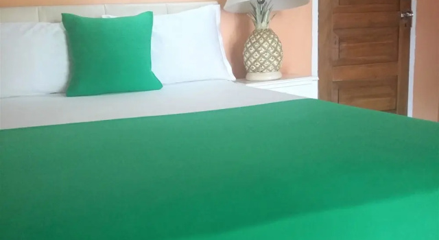 Номер Deluxe Enchanted Villas and Guest House