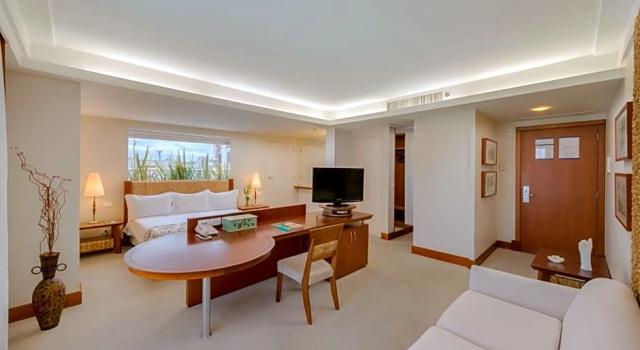 Одноместный номер Deluxe Blue Tree Towers Caxias do Sul