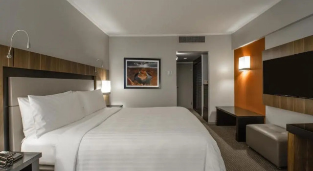 Двухместный номер Deluxe Marriott São Paulo Airport Hotel