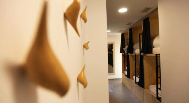 Кровать в общем номере VTZ The Botanic Hostel