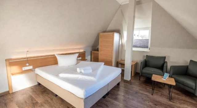 Одноместный номер Standard Landhotel Kastanienallee Putbus