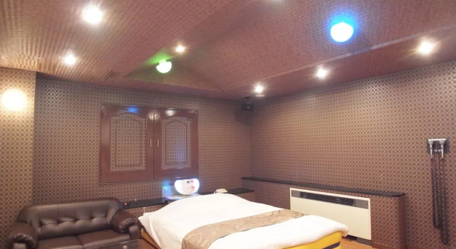 HOTEL Yancha na Koneko -Adults Only