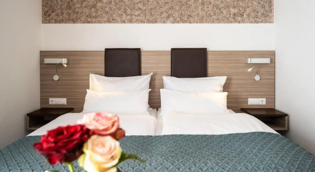 Двухместный номер Standard Hotel Drei Rosen