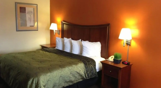 Rodeway Inn Baxley