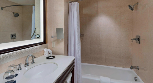 Четырёхместный номер Standard Sheraton Austin Georgetown Hotel & Conference Center