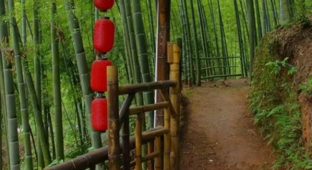 Yibin, Sichuan Bamboo Sea of Emerald Hills, Varaa Hotelli Hotellit Sichuan pysäköinnillä, Pysäköinti