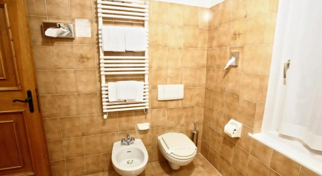 Трёхместный номер Economy Hotel Des Alpes