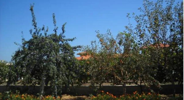 Sani Family Hotel