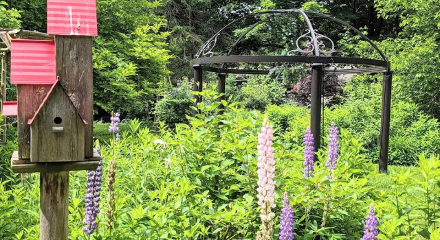 Люкс Bayfield Boutique B&B