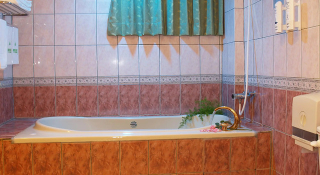 Номер Standard Park Motel