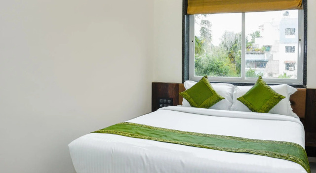 Одноместный номер Economy Treebo Malhaar Regency