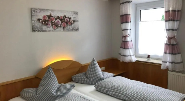 Двухместный номер Standard Hotel Goldener Greifen