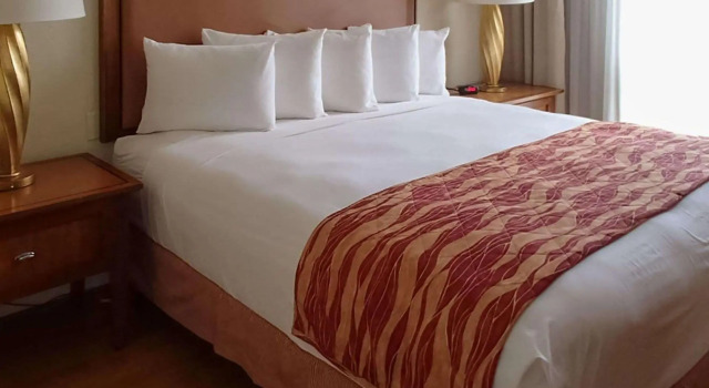 Двухместный люкс Rodeway Inn South Miami - Coral Gables
