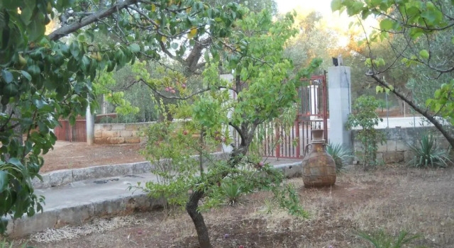 Villa Conte in Salento, Book Villa Hotels in Murgia with Parking, Parking