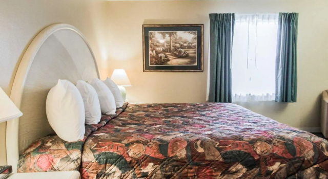Люкс c 1 комнатой Rodeway Inn & Suites Haines City - Winter Haven