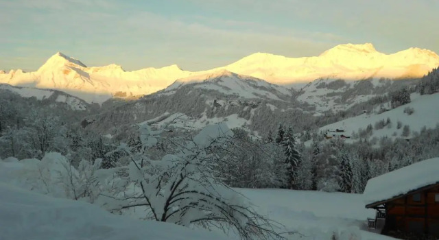 Шале c 1 комнатой Chalets Savoie Les chalets dHeidi